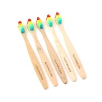 FDA approval bamboo toothbrush rainbow china tooth brush